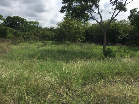 Imagen Destacada de Propiedad